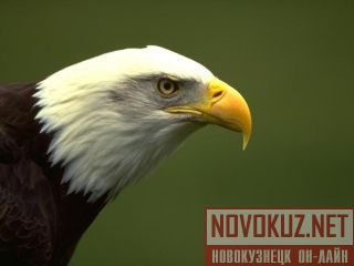 , ,     