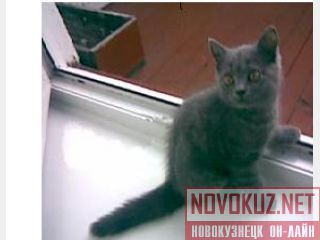   , 2,5  