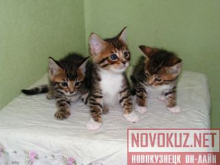  ,  ̨.!!! 