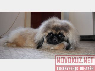   ,  1 .  