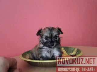  !!! 