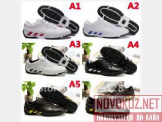 "adidas"  2300 .  12   50   http://all-world-shop.ru  