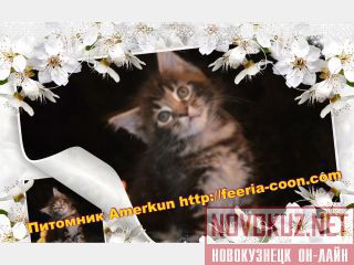      "Amerkun" 