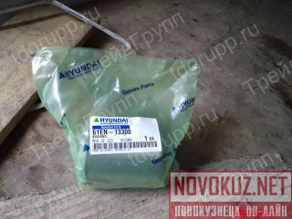 61EN-13300  Hyundai  