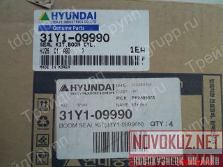 31Y1-09990    Hyundai R250LC-7  