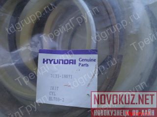 31Y1-18071    Hyundai R290LC-7  