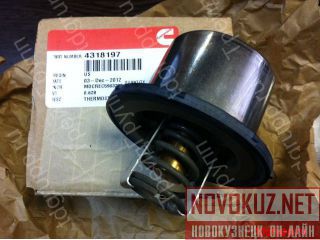 4318197  Cummins  