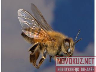        3 200 
