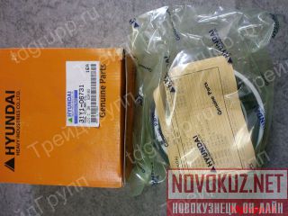 31Y1-06731    Hyundai  