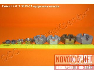       5919-73  
