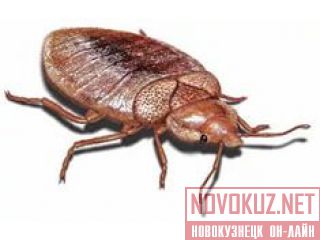  , , , . 
