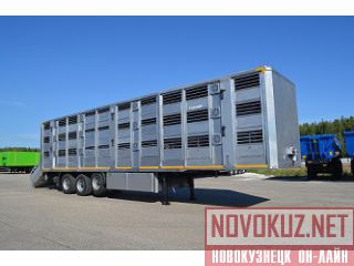   9827-020 