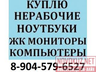 8 904 579 6527      
