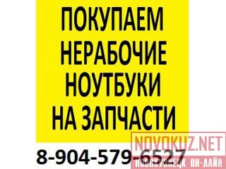 8 904 579 6527      