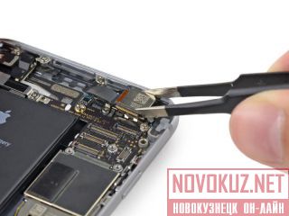   iPhone.  