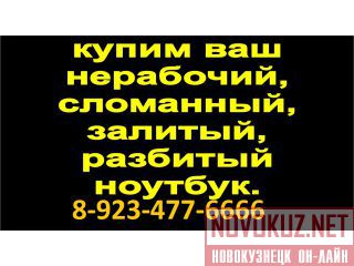8-923-477-6666        