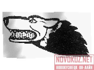       3- -