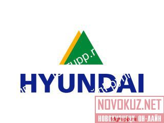 21Q6-42501  (alternator) Hyundai R520LC-9S 