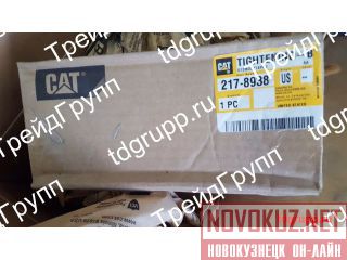 217-8938   CAT C18 