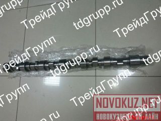 344-9038  CAT 