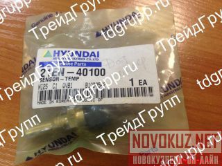 21EN-40100   Hyundai 