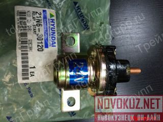 21N6-30120   Hyundai 