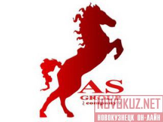 AS Group  