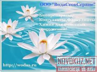  Bacti Bio 9500 (  9500)     