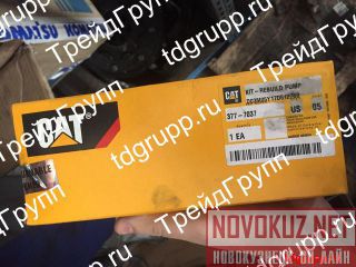 377-7037  CAT 