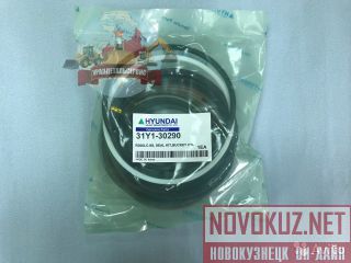  /  31Y1-30290  R300LC-9S 