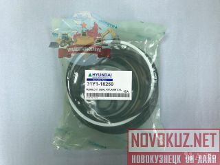  /  31Y1-18250  R250LC-7 