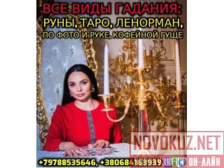   +79788535646 