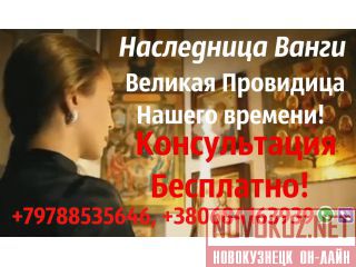   +79788535646 