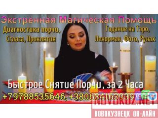    +79788535646 