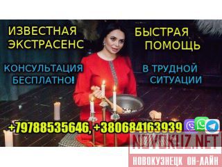    +79788535646 