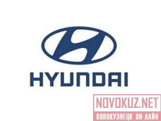  (31NB-10010)   Hyundai R450LC7 
