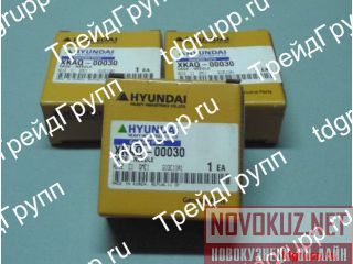 XKAQ-00030   Hyundai R500LC-7A 