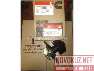 4935793   Cummins B5.9 