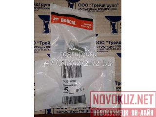   Bobcat S175 17C1016 