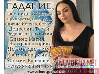   +79788535646 