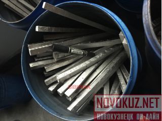   "" , Novosibirskiy Rayon