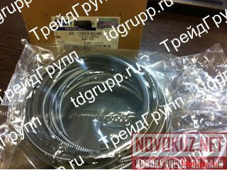 65.02503-8146   Doosan 
