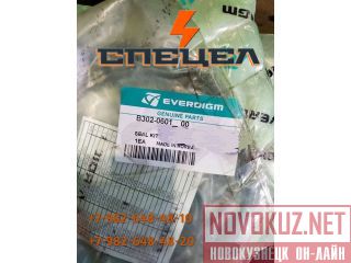 B302-0601    Everdigm RH 30/EH 30 