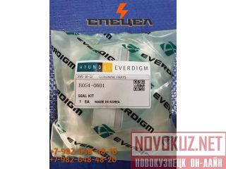 B054-0601    Everdigm RHB 305 