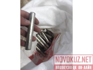 ����� ����� (�������) ��� �����������