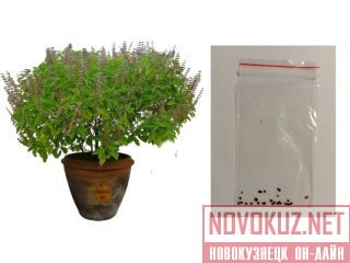 ������ ������, � ��������, ��� ����������� ����. ������