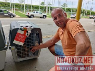 ��������� �������� � ������� � ������ �����������