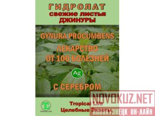 ��������� � �������������� ������ ProGynuru � ���� ����������� �������� ��� �������� � ������� �����������