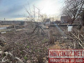 ������ ���� � �������� � ��������� ���, 2 �����, ������� 5 ����� ��������