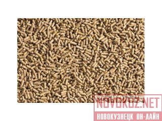 ��������������� ��������� ��� �������� ����� � �������� ������ � �������� ����� ������ ��������